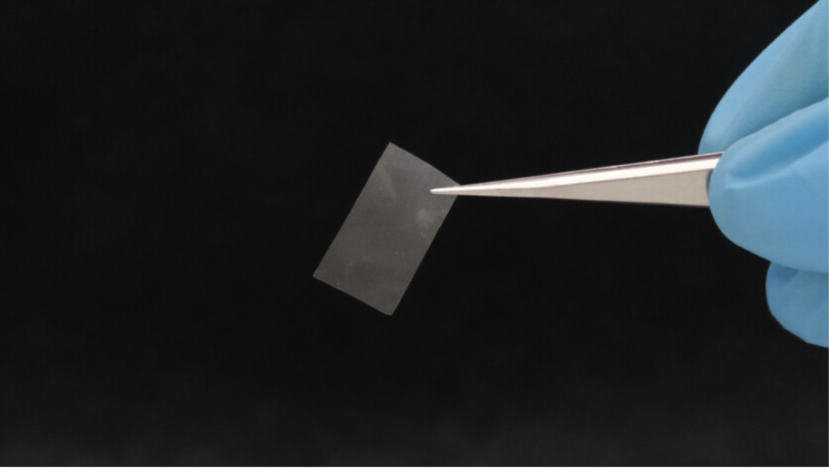 Амьд материал