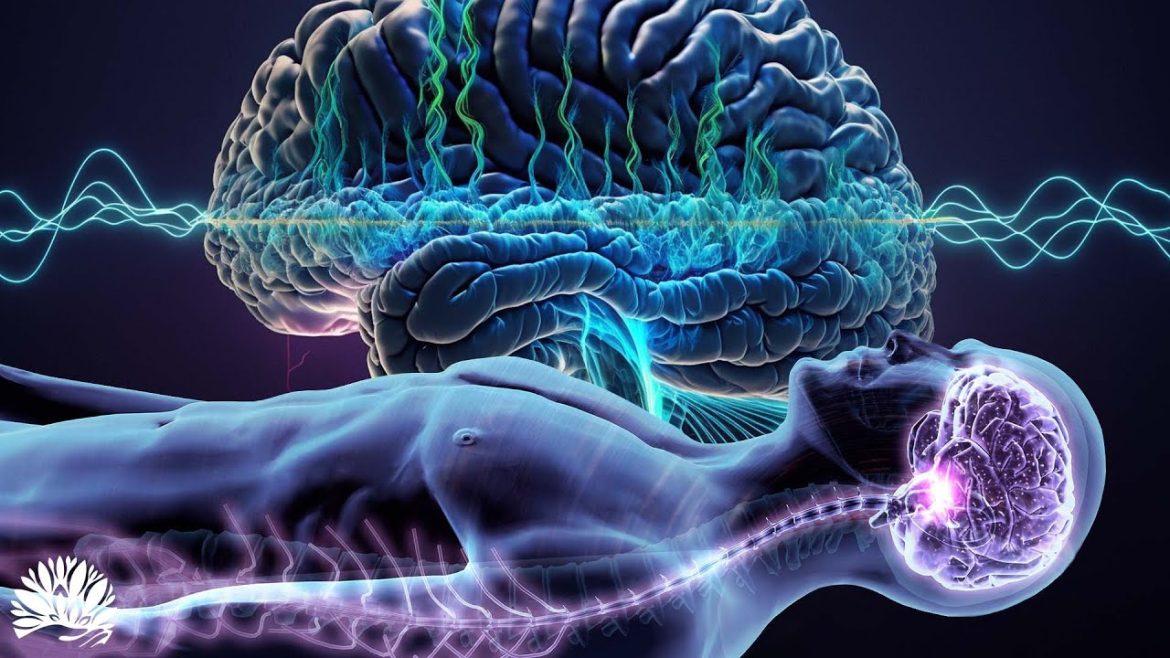 Хүний зүүдийг дүрсжүүлэх MRI төхөөрөмж бүтээв